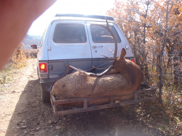 Colorado Elk Outfitter